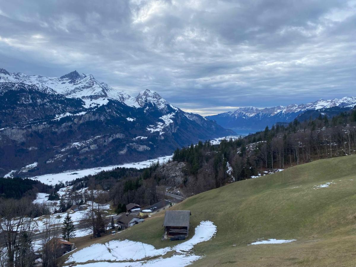 Spring Inn Apartments Meiringen Exteriér fotografie
