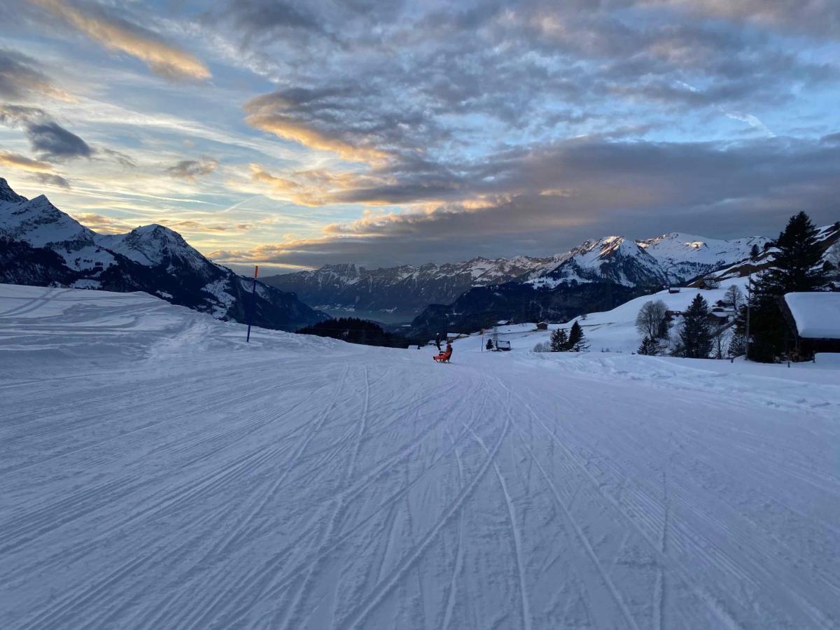 Spring Inn Apartments Meiringen Exteriér fotografie